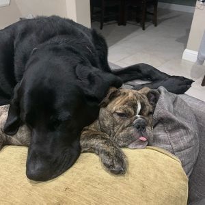 Meet your Posher, Bryce